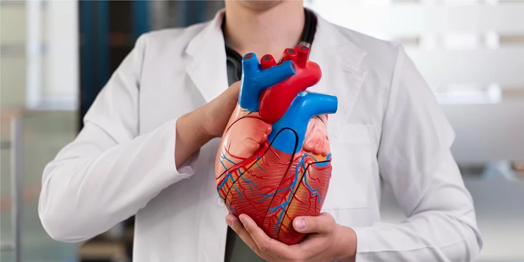 Doctor present heart cardiac difference