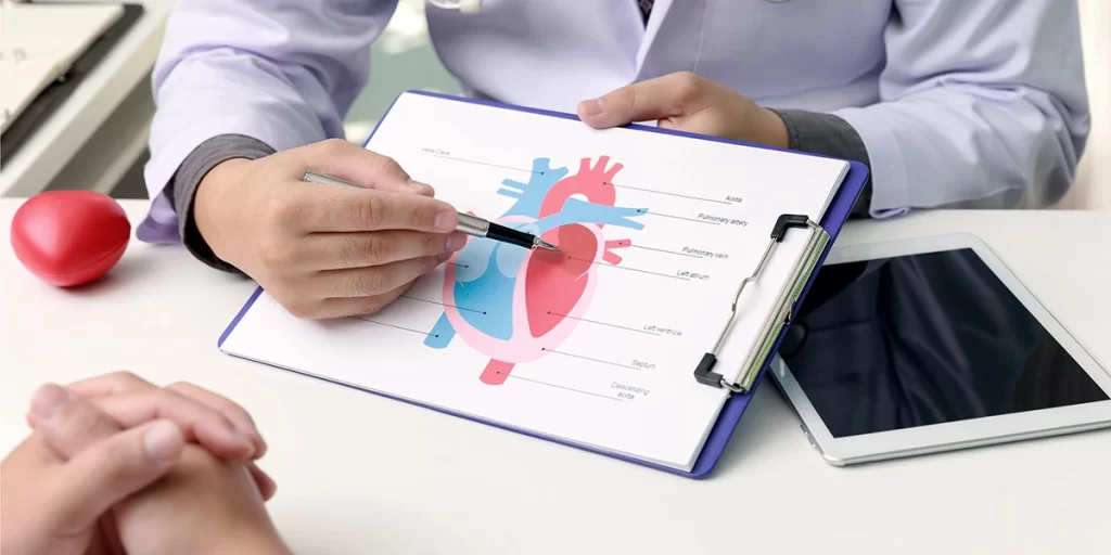 cardiologist explaining the functionalities of the heart