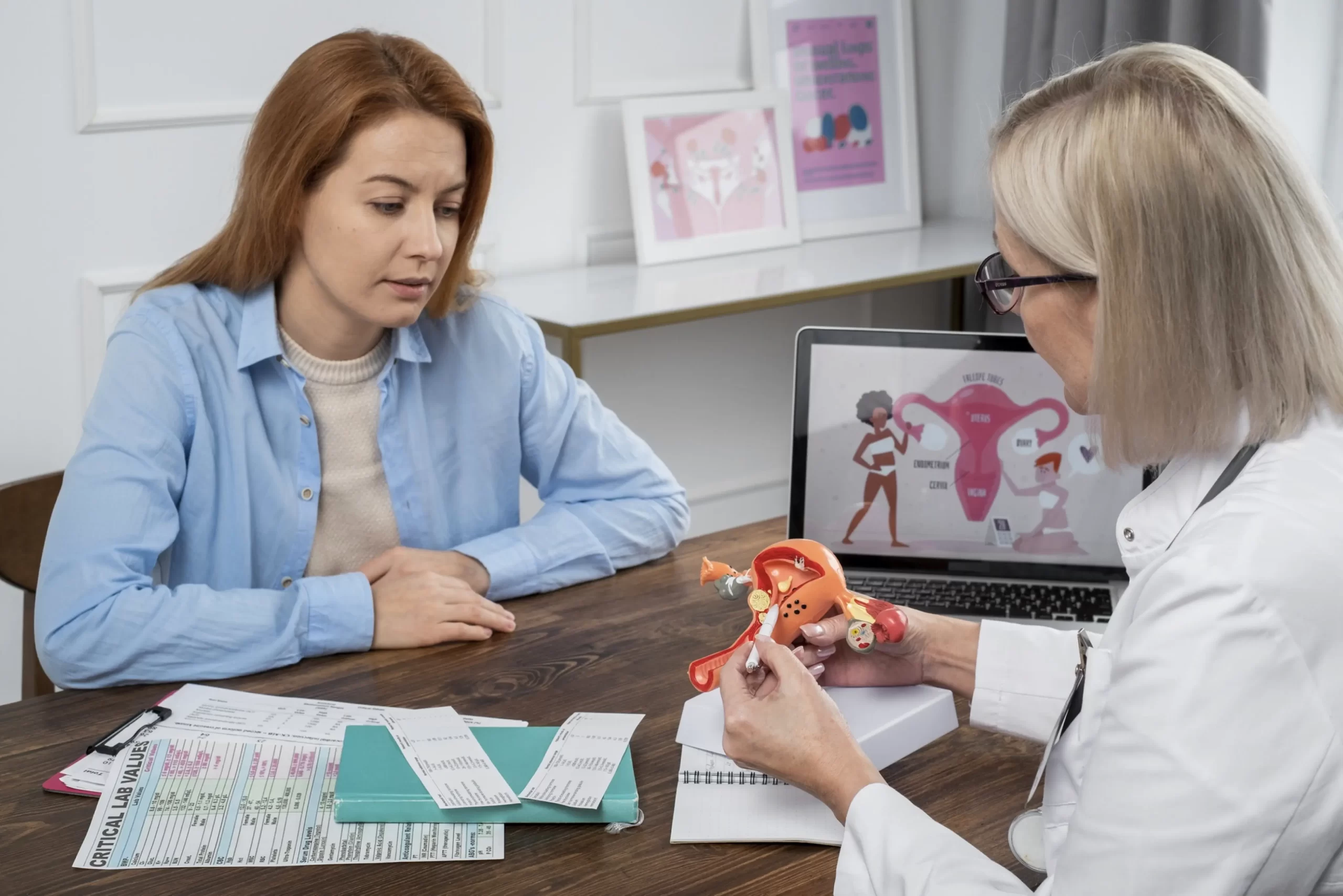 Gynecologist explaining ovarian health using a uterus model during a medical consultation with a female patient.