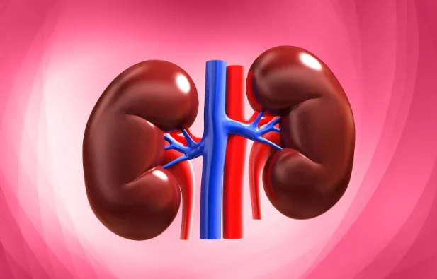 Common Kidney Problems