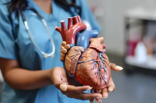 Best Heart Hospital in Chennai
